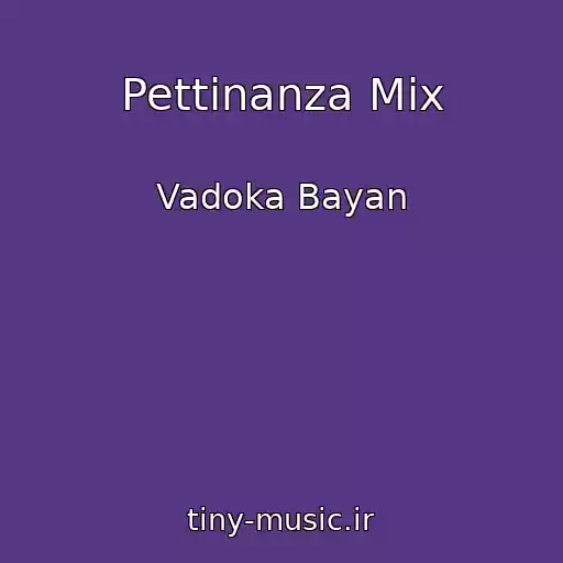 کاور آهنگ Pettinanza Mix از Vadoka Bayan