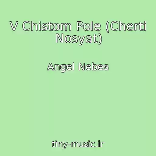 کاور آهنگ V Chistom Pole (Cherti Nosyat) از Angel Nebes