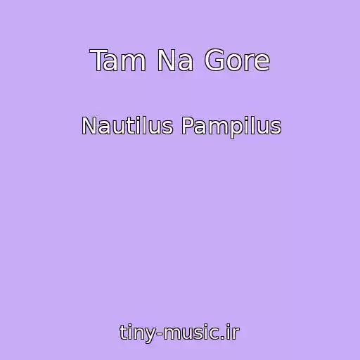 کاور آهنگ Tam Na Gore از Nautilus Pampilus
