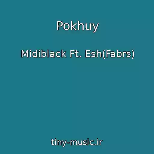کاور آهنگ Pokhuy از Midiblack Ft. Esh(Fabrs)