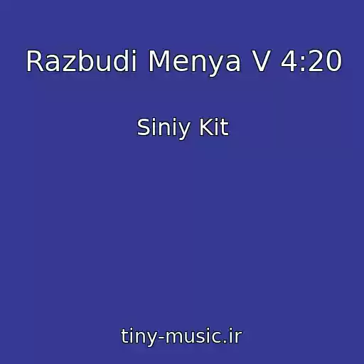 کاور آهنگ Razbudi Menya V 4:20 از Siniy Kit