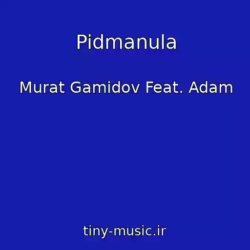 کاور آهنگ Pidmanula از Murat Gamidov Feat. Adam