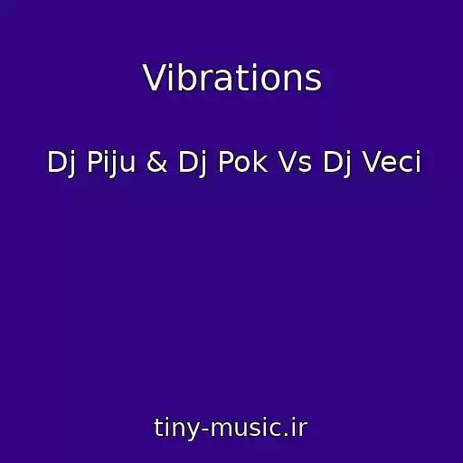 کاور آهنگ Vibrations از Dj Piju & Dj Pok Vs Dj Veci