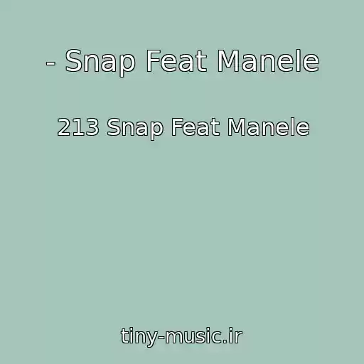 کاور آهنگ - Snap Feat Manele از 213 Snap Feat Manele