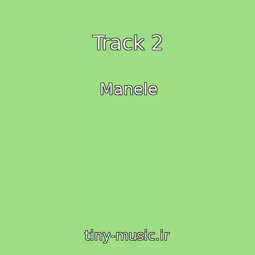 کاور آهنگ Track 2 از Manele