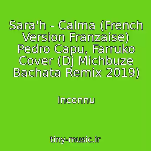 کاور آهنگ Sara'h - Calma (French Version Franzaise) Pedro Capu, Farruko Cover (Dj Michbuze Bachata Remix 2019) از Inconnu