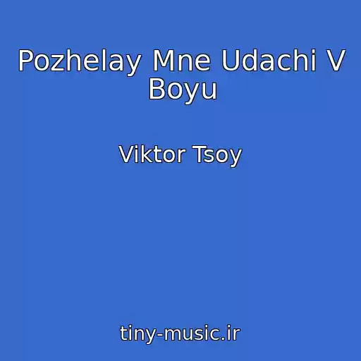 کاور آهنگ Pozhelay Mne Udachi V Boyu از Viktor Tsoy