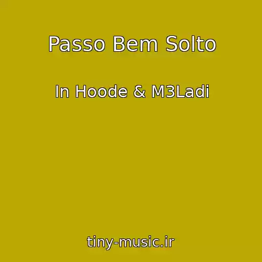 کاور آهنگ Passo Bem Solto از In Hoode & M3Ladi