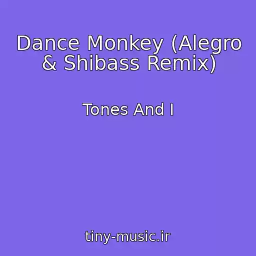 کاور آهنگ Dance Monkey (Alegro & Shibass Remix) از Tones And I