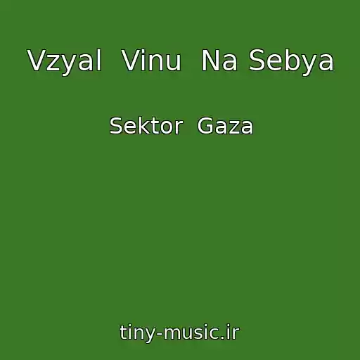 کاور آهنگ Vzyal  Vinu  Na Sebya از Sektor  Gaza