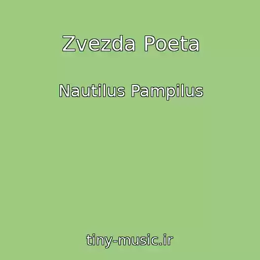 کاور آهنگ Zvezda Poeta از Nautilus Pampilus