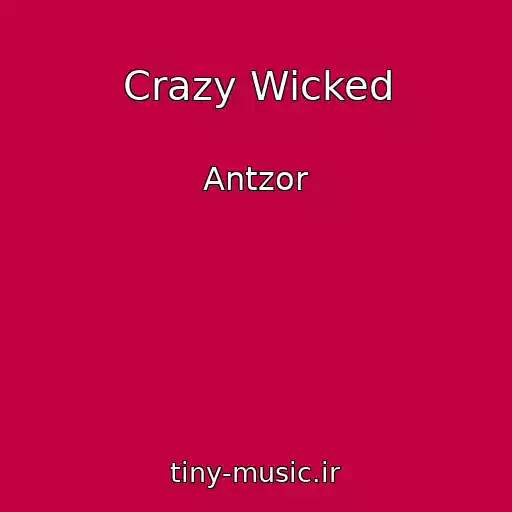 کاور آهنگ Crazy Wicked از Antzor