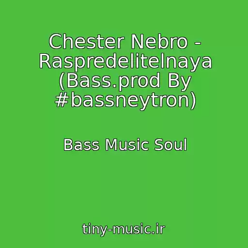 کاور آهنگ Chester Nebro - Raspredelitelnaya (Bass.prod By #bassneytron) از Bass Music Soul