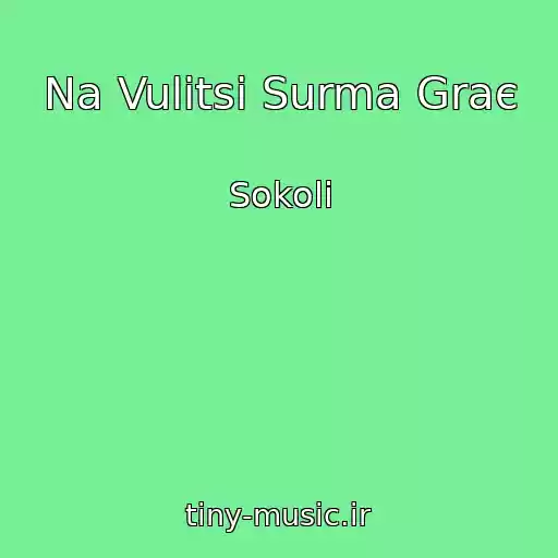 کاور آهنگ Na Vulitsі Surma Graє از Sokoli