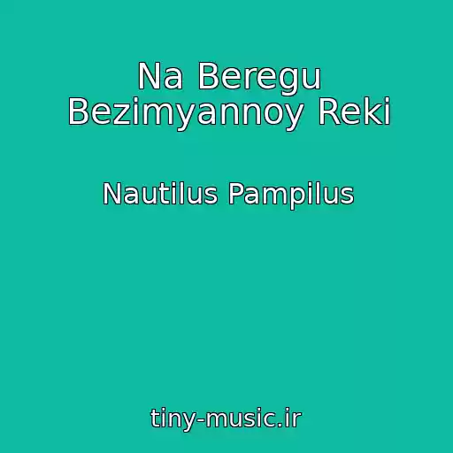کاور آهنگ Na Beregu Bezimyannoy Reki از Nautilus Pampilus