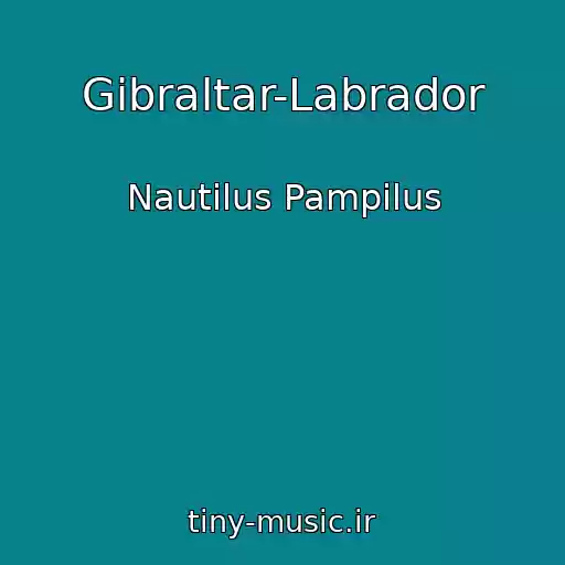 کاور آهنگ Gibraltar-Labrador از Nautilus Pampilus