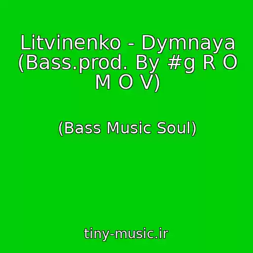 کاور آهنگ Litvinenko - Dymnaya (Bass.prod. By #g R O M O V) از (Bass Music Soul)