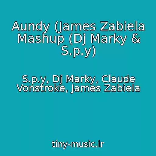 کاور آهنگ Aundy (James Zabiela Mashup (Dj Marky & S.p.y) از S.p.y, Dj Marky, Claude Vonstroke, James Zabiela