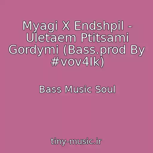 کاور آهنگ Myagi X Endshpil - Uletaem Ptitsami Gordymi (Bass.prod By #vov4Ik) از Bass Music Soul