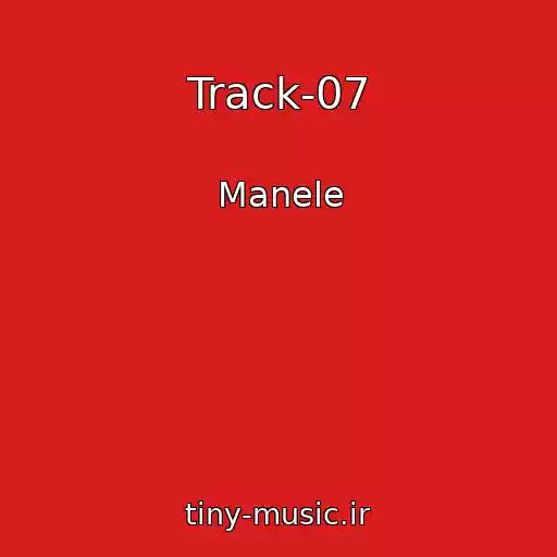 کاور آهنگ Track-07 از Manele