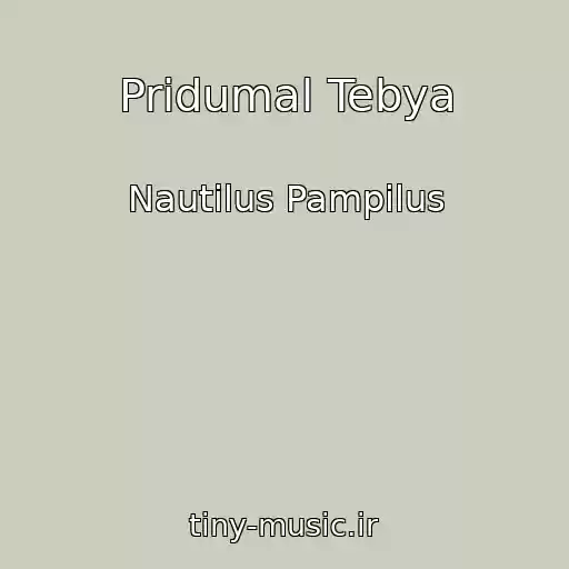 کاور آهنگ Pridumal Tebya از Nautilus Pampilus