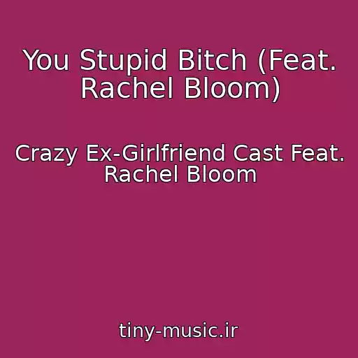 کاور آهنگ You Stupid Bitch (Feat. Rachel Bloom) از Crazy Ex-Girlfriend Cast Feat. Rachel Bloom