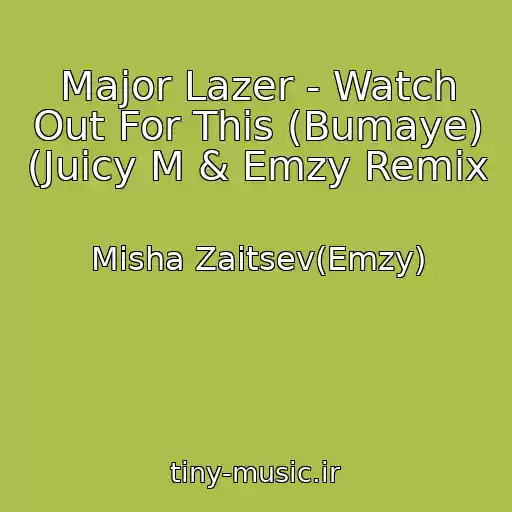 کاور آهنگ Major Lazer - Watch Out For This (Bumaye) (Juicy M & Emzy Remix از Misha Zaitsev(Emzy)