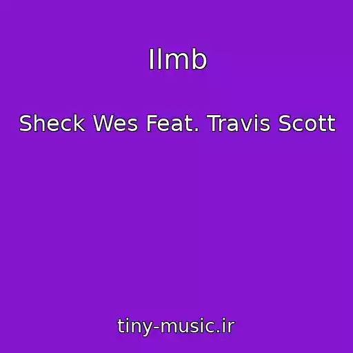 کاور آهنگ Ilmb از Sheck Wes Feat. Travis Scott