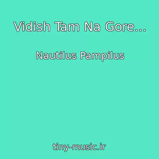 کاور آهنگ Vidish Tam Na Gore... از Nautilus Pampilus