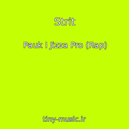کاور آهنگ Strit از Pauk I Jizza Pro (Rap)