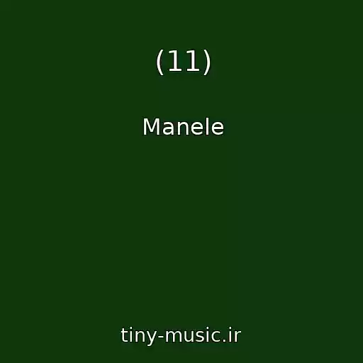 کاور آهنگ (11) از Manele