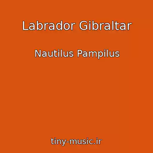 کاور آهنگ Labrador Gibraltar از Nautilus Pampilus