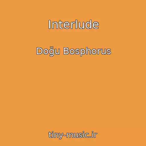 کاور آهنگ Interlude از Doğu Bosphorus