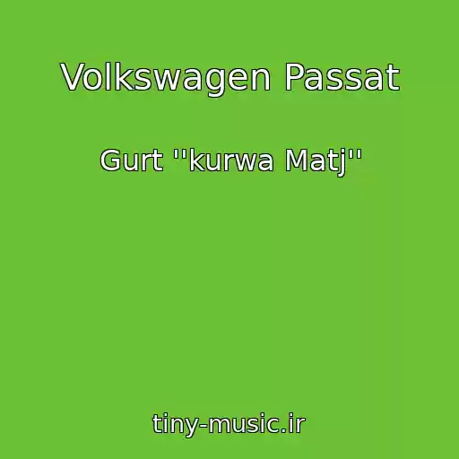 کاور آهنگ Volkswagen Passat از Gurt ''kurwa Matj''