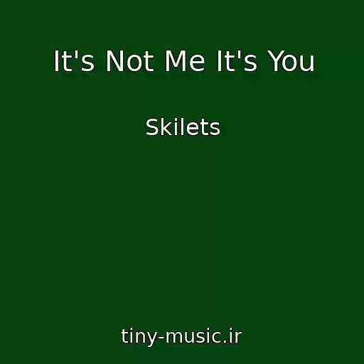 کاور آهنگ It's Not Me It's You از Skilets