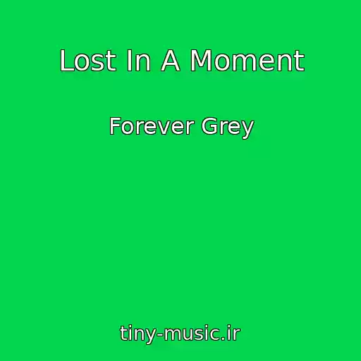 کاور آهنگ Lost In A Moment از Forever Grey