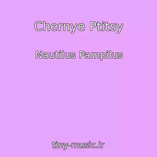 کاور آهنگ Chernye Ptitsy از Nautilus Pampilus