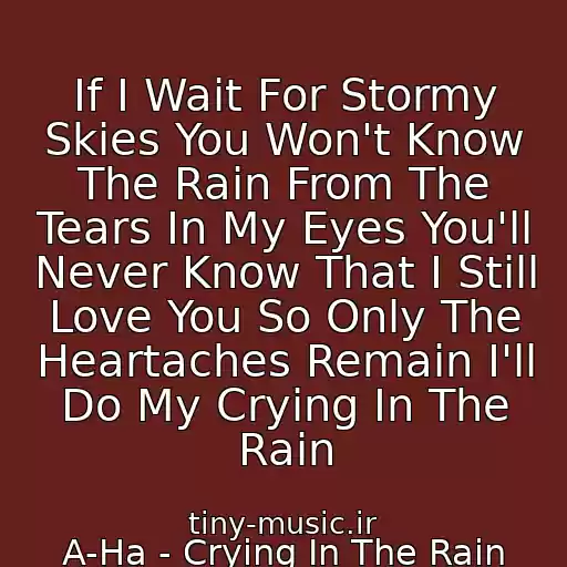کاور آهنگ If I Wait For Stormy Skies You Won't Know The Rain From The Tears In My Eyes You'll Never Know That I Still Love You So Only The Heartaches Remain I'll Do My Crying In The Rain از A-Ha - Crying In The Rain