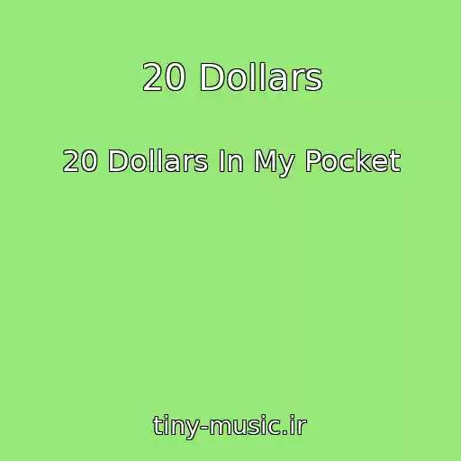 کاور آهنگ 20 Dollars از 20 Dollars In My Pocket