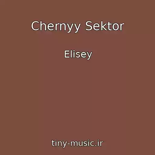 کاور آهنگ Chernyy Sektor از Elisey