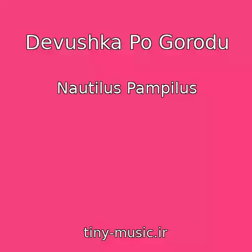 کاور آهنگ Devushka Po Gorodu از Nautilus Pampilus