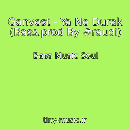 کاور آهنگ Ganvest - Ya Ne Durak (Bass.prod By #raudi) از Bass Music Soul