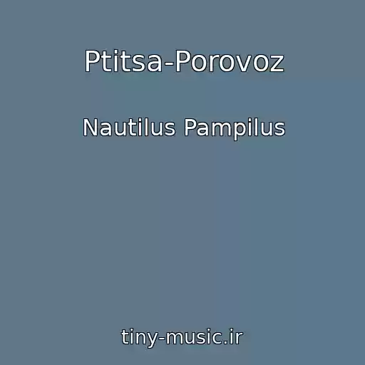 کاور آهنگ Ptitsa-Porovoz از Nautilus Pampilus