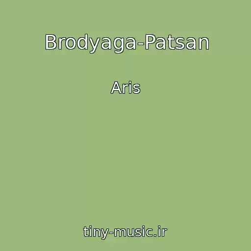 کاور آهنگ Brodyaga-Patsan از Aris