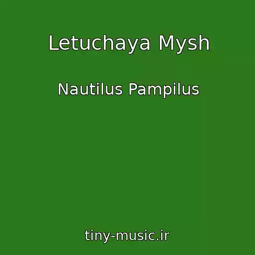 کاور آهنگ Letuchaya Mysh از Nautilus Pampilus