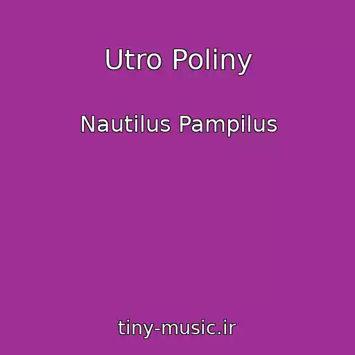 کاور آهنگ Utro Poliny از Nautilus Pampilus
