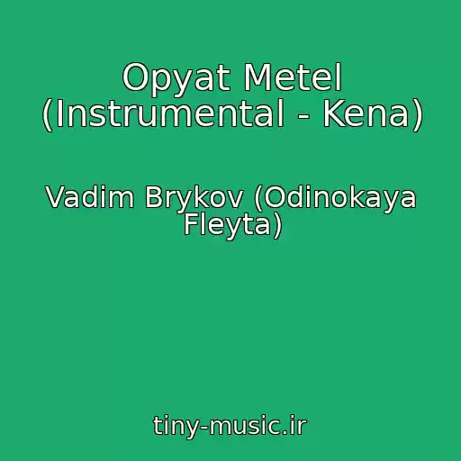 کاور آهنگ Opyat Metel (Instrumental - Kena) از Vadim Brykov (Odinokaya Fleyta)