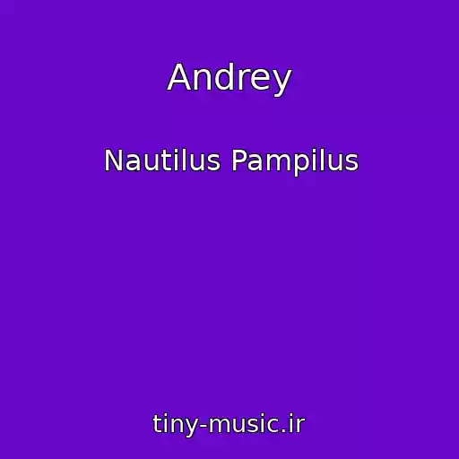 کاور آهنگ Andrey از Nautilus Pampilus