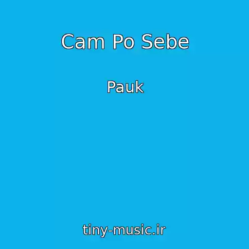 کاور آهنگ Cam Po Sebe از Pauk