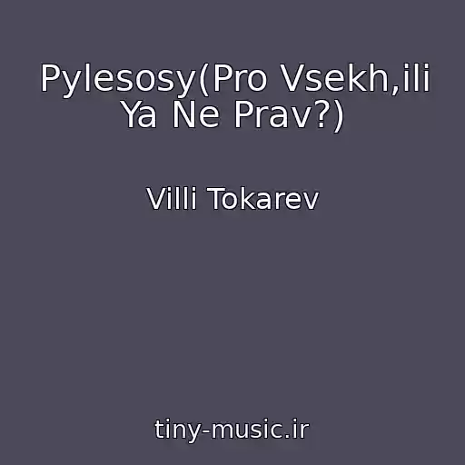 کاور آهنگ Pylesosy(Pro Vsekh,ili Ya Ne Prav?) از Villi Tokarev